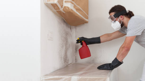 Professional Crawl Space Mold Removal technician working in Cologne, MN